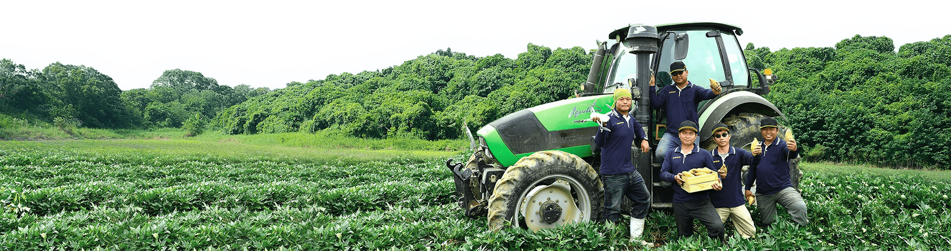 寵物鮮食食譜,狗狗鮮食食譜,貓咪鮮食食譜,寵物食譜,地瓜食譜,冰烤地瓜,寵物鮮食食譜-瓜瓜園,寵物食譜-瓜瓜園